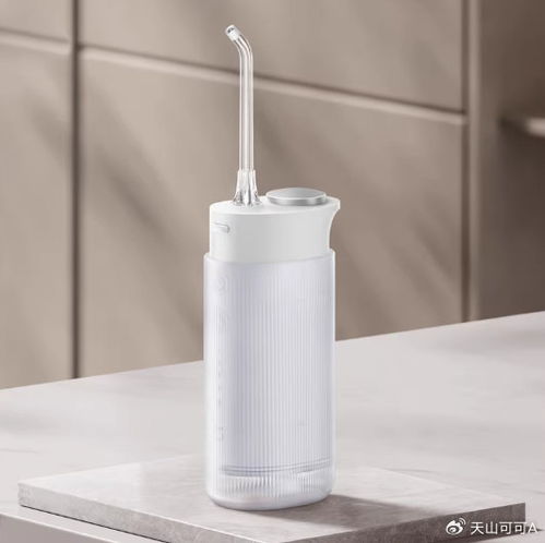 2024年冲牙器十大高性价比型号推荐 守护牙周健康，从选对产品开始